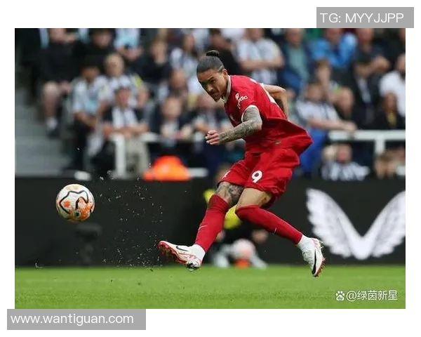 努涅斯在赛季初展现出惊人潜力成为球队新星的背后故事与挑战